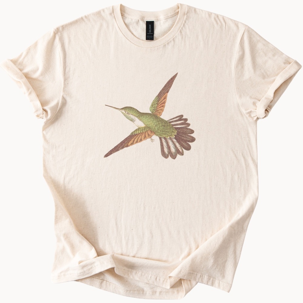 Hummingbird Natural History Graphic Tee Vintage Engraving Style